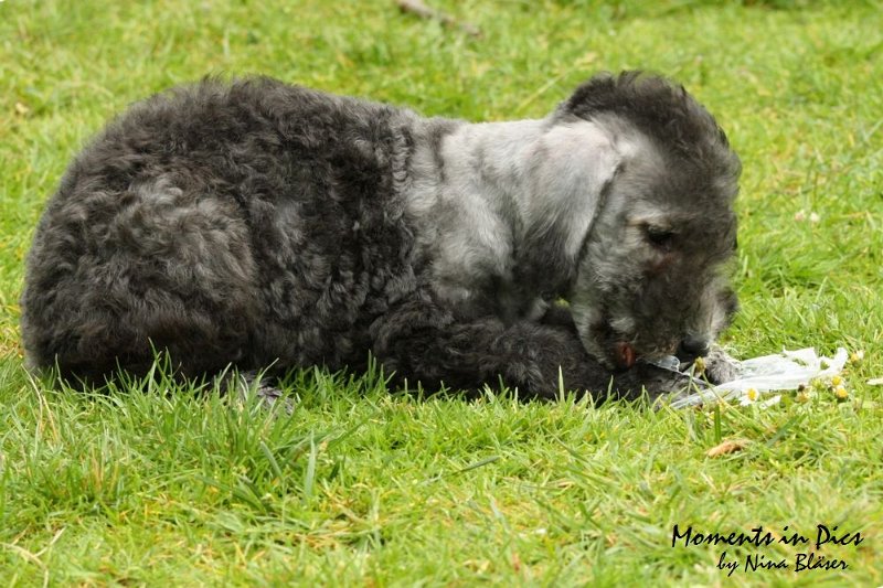 Antares 2009-07-12 (49).JPG